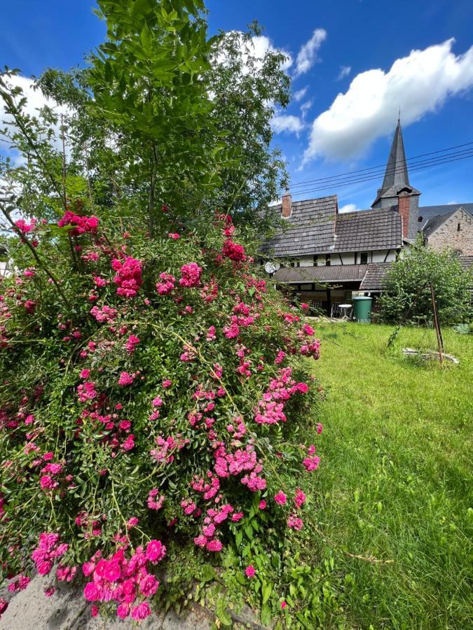 Villa 300 Jahre Altes Renoviertes Fachwerkhaus Peterslahr Exterior foto